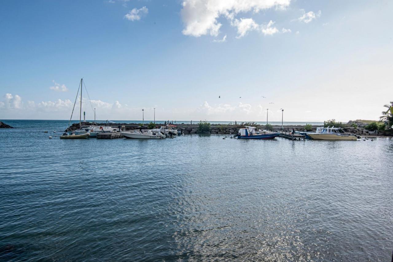 Superbe Studio A La Baie Des Pelicans Ле-Гозье Экстерьер фото